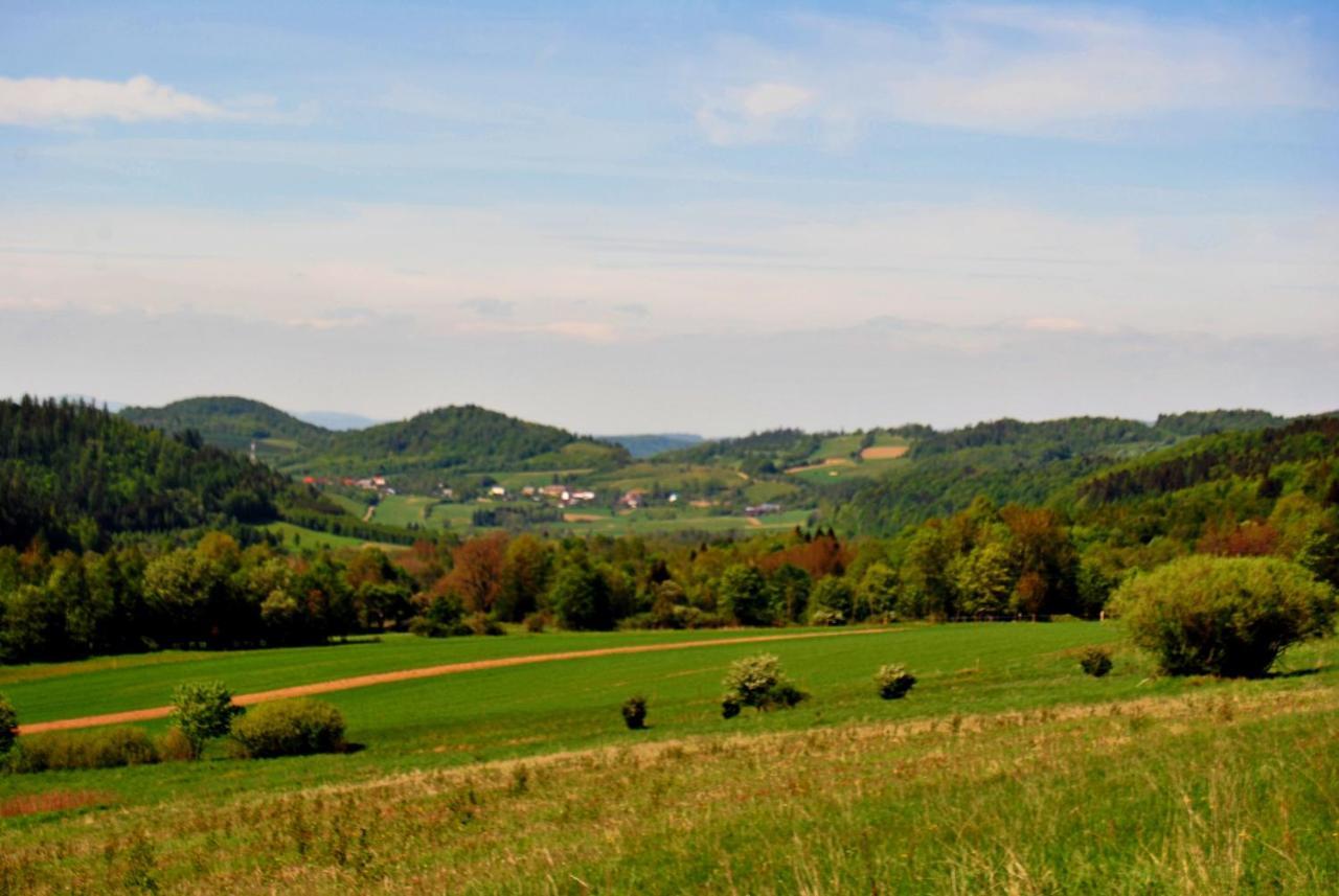 Sudecka Chata Bystrzyca Kłodzka Esterno foto