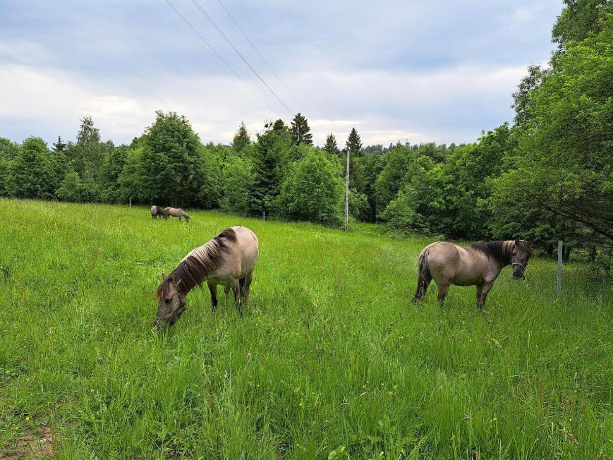 Sudecka Chata Bystrzyca Kłodzka Esterno foto